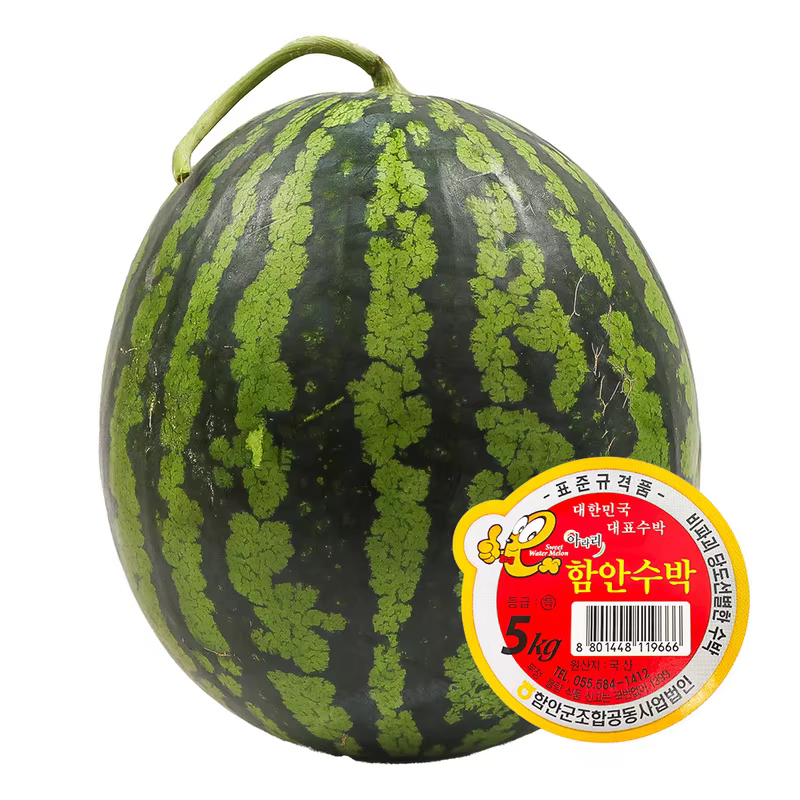 수박 가정용(상품) 6kg / 11브릭스 당도선별 이미지 1