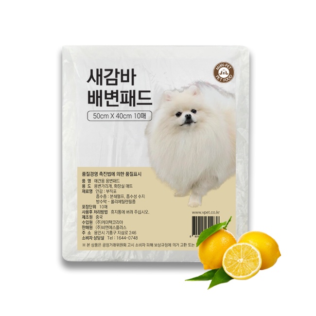 배변패드 10개 배변패드 개 고를 때 확인해야 할 점 coupang featured 1781388023482